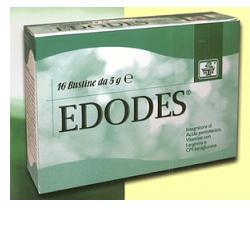 EDODES 16 BUSTINE - Metafarm
