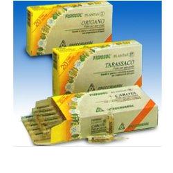 FISIOSOL PL RIBES NE 20F - Metafarm