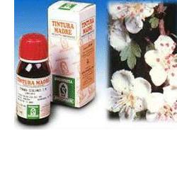 BIANCOSPINO 10 50ML TM - Metafarm
