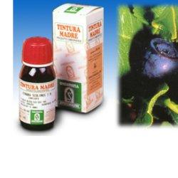 MIRTILLO 31 50ML TM - Metafarm