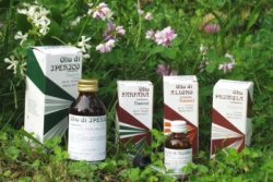 RAEMIL PROPOLI OLIO 25 ML - Metafarm