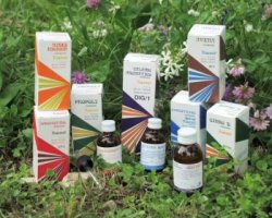 RAEMIL PROPOLI COMPOSTO 15 ML - Metafarm