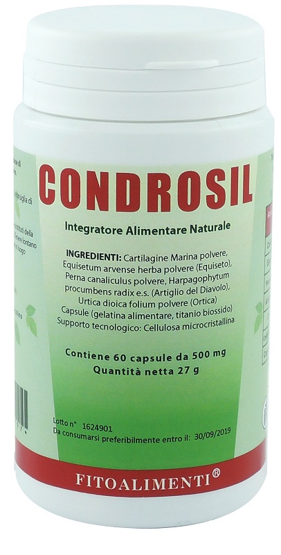 CONDROSIL 60 CAPSULE - Metafarm