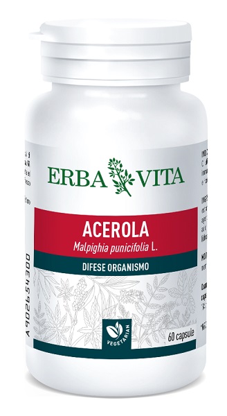 ACEROLA 60 CAPSULE 550 MG - Metafarm