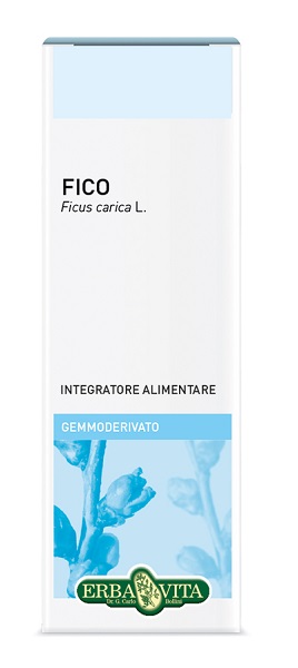 GEMMODERIVATO FICO 50 ML - Metafarm