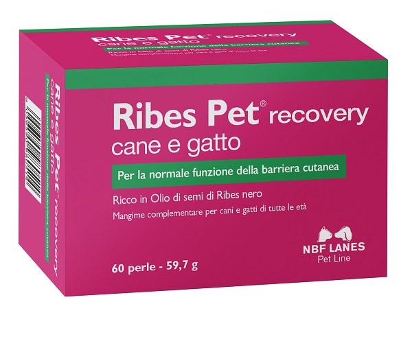 RIBES PET RECOVERY BLISTER 60 PERLE - Metafarm