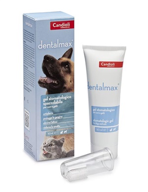 DENTALMAX GEL STOMATOLOGICO 50 ML - Metafarm