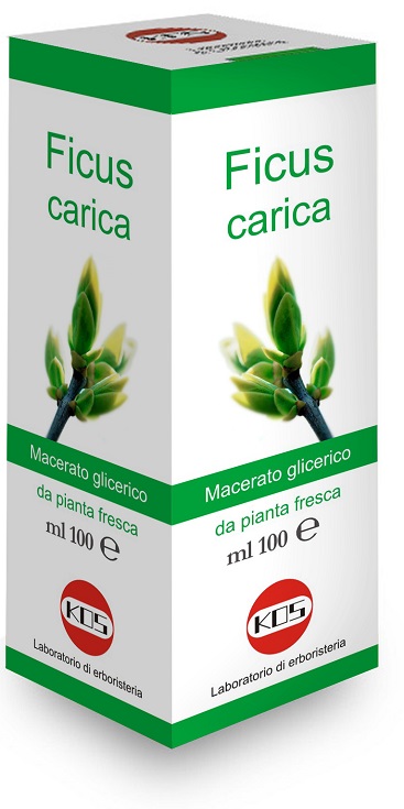 FICUS CARICA MACERATO GLICERICO 100 ML - Metafarm