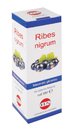 RIBES NIGRUM MACERATO GLICERICO 100 ML GOCCE - Metafarm