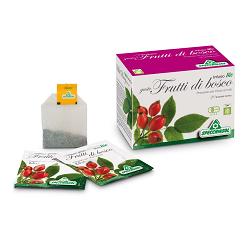 INFUSO BIO FRUTTA FRUTTI DI BOSCO 20 FILTRI - Metafarm