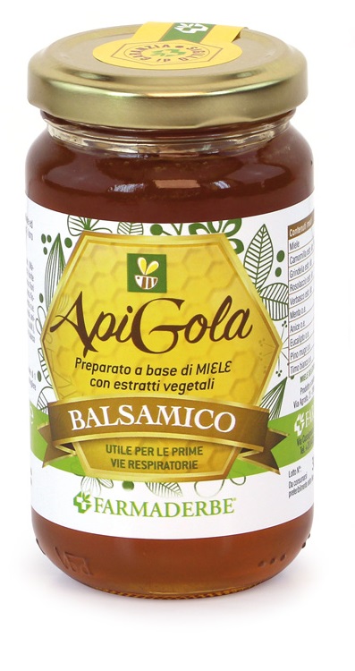 APIGOLA MIELE BALSAMICO 250 G - Metafarm