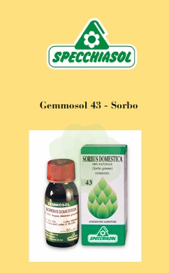 GEMMOSOL 43 SORBO 50ML - Metafarm