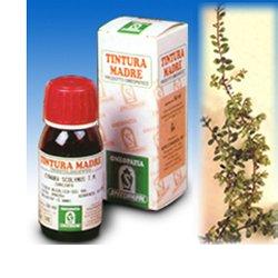 UVA URSINA 30 50ML TM - Metafarm