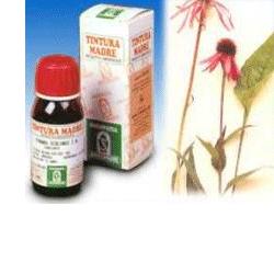ECHINACEA 59 50ML TM - Metafarm