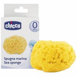 CHICCO SPUGNA MARE PICCOLA - Metafarm