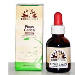 FITOBLASTO FICUS CARICA 50 ML - Metafarm