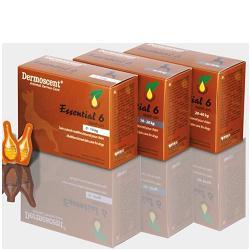 ESSENTIAL 6 SPOT ON CANE 20/40 KG 4 PIPETTE 2,4 ML - Metafarm