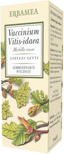 VACCINIUM VITIS IDAEA MIRTILLO ROSSO BIO 50 ML - Metafarm
