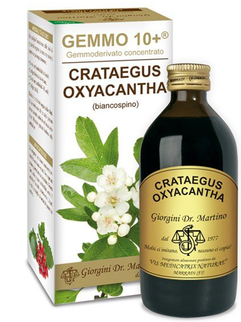 GEMMO 10+ BIANCOSPINO LIQUIDO ANALCOLICO 200 ML - Metafarm