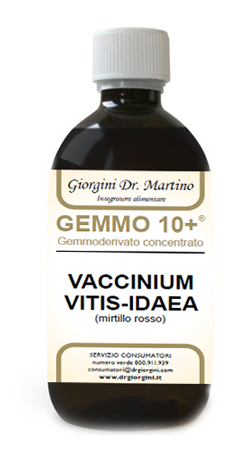GEMMO 10+ MIRTILLO ROSSO LIQUIDO ANALCOLICO 500 ML - Metafarm
