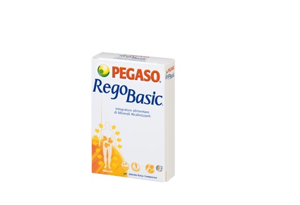 REGOBASIC 12 BUSTINE POLVERE - Metafarm