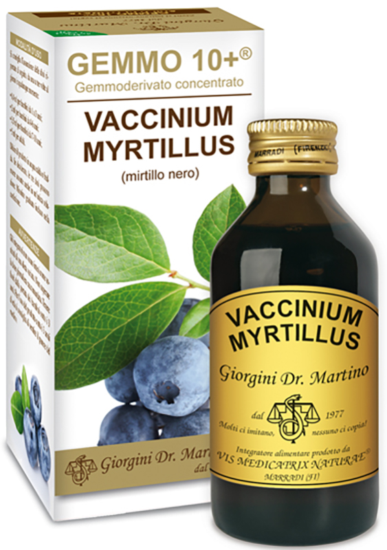 GEMMO 10+ GEMMODERIVATO CONCENTRATO VACCINIUM MYRTILLUS MIRTILLO NERO SENZA ALCOOL 100 ML - Metafarm