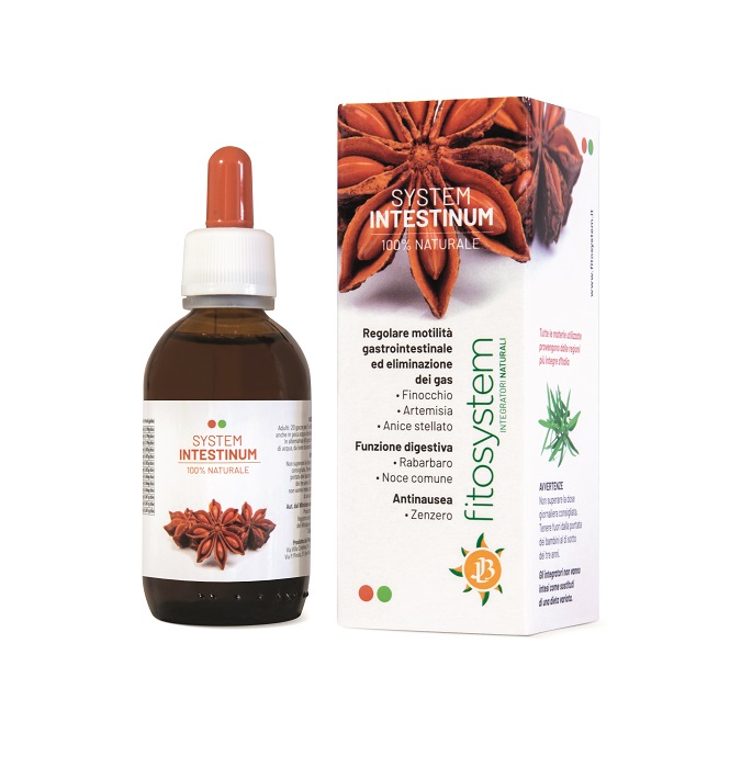 SYSTEM INTESTINUM 50 ML - Metafarm