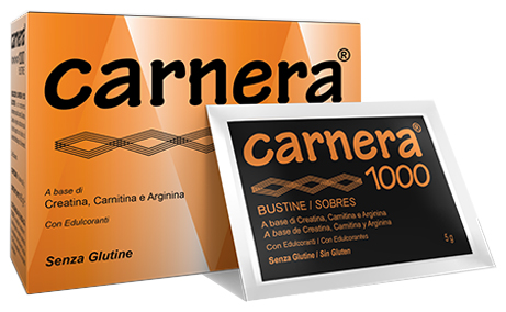 CARNERA 1000 18 BUSTINE - Metafarm
