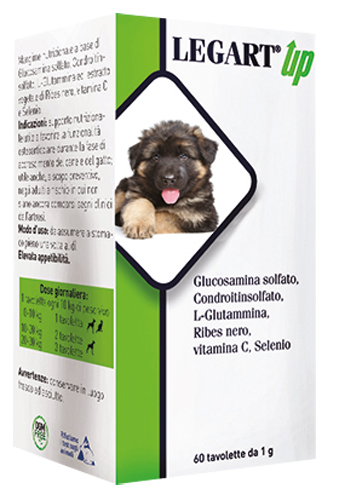 LEGART UP 60 COMPRESSE DA 1 G - Metafarm
