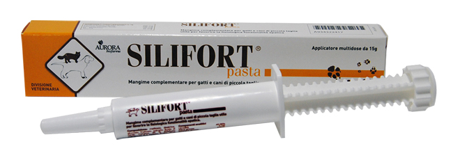 SILIFORT PASTA OS SIRINGA 15 G - Metafarm