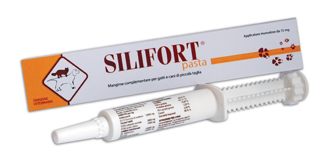 SILIFORT PASTA OS SIRINGA 30 G - Metafarm