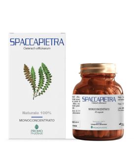SPACCAPIETRA 50 CAPSULE - Metafarm