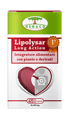 LIPOLYSAR LONG ACTION 45 CAPSULE - Metafarm