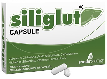 SILIGLUT 20 CAPSULE - Metafarm
