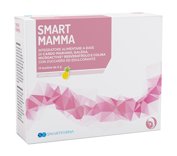 SMART MAMMA 14 BUSTINE GUSTO ANANAS - Metafarm