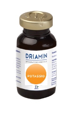 DRIAMIN POTASSIO 15 ML - Metafarm