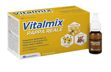 VITALMIX PAPPA REALE 10FLACONCINI X10 ML S/GL - Metafarm