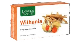 WITHANIA 60 CAPSULE - Metafarm