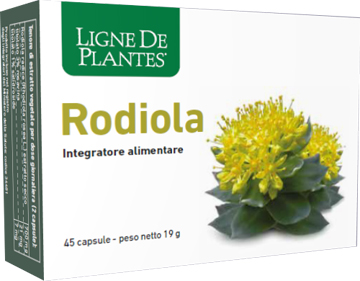 RODIOLA 45 CAPSULE - Metafarm