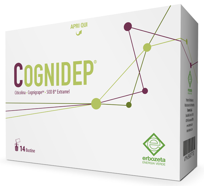 COGNIDEP 14 BUSTINE - Metafarm