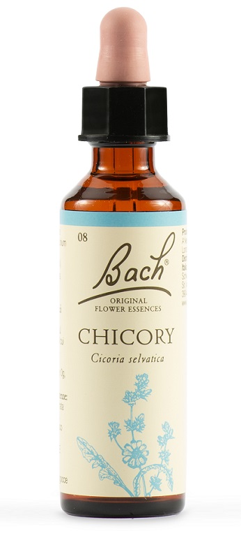 CHICORY BACH ORIG 20 ML - Metafarm