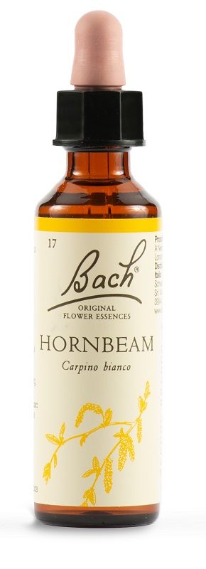 HORNBEAM BACH ORIG 20 ML - Metafarm