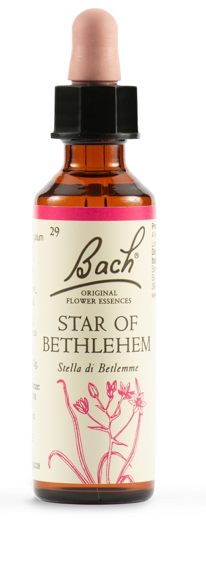 STAR OF BETHL ORIG 20 ML - Metafarm