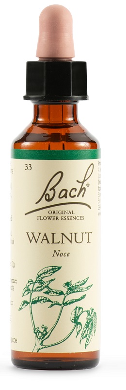 WALNUT BACH ORIG 20 ML - Metafarm