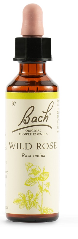 WILD ROSE BACH ORIG 20 ML - Metafarm