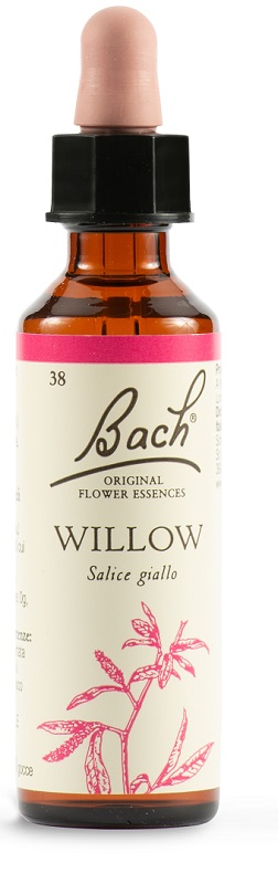 WILLOW BACH ORIG 20 ML - Metafarm