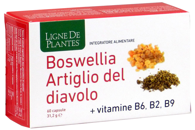 BOSWELLIA ARTIGLIO DIAVOLO VITAMINE B2 B6 B9 60 CAPSULE - Metafarm