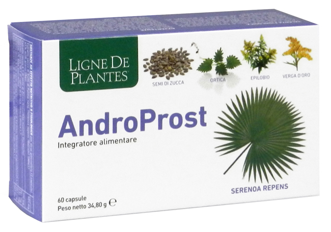 ANDROPROST 60 CAPSULE - Metafarm
