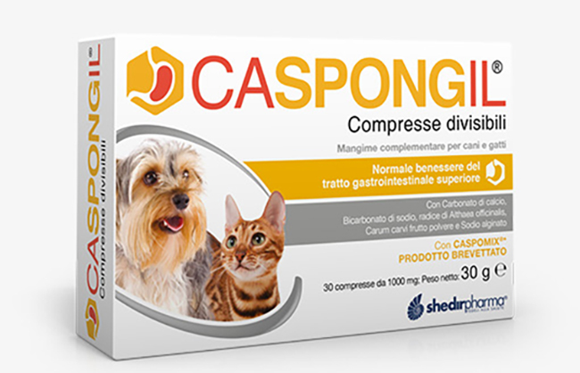 CASPONGIL 30 COMPRESSE DIVISIBILI - Metafarm