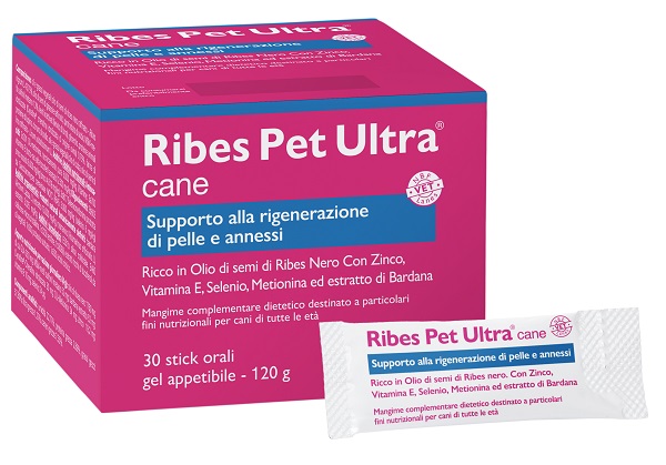 RIBES PET ULTRA CANE GEL 30 BUSTINE 4 G - Metafarm